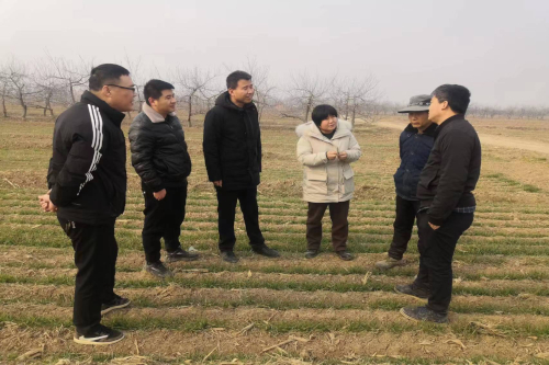 礼泉县农机校春耕备耕技术培训现场2.jpg